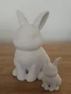 0.2mm layer, 2 walls, 12% infill