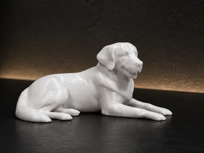 Golden Retriever - Animal - Dog - Decor