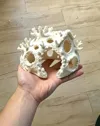 15cm version