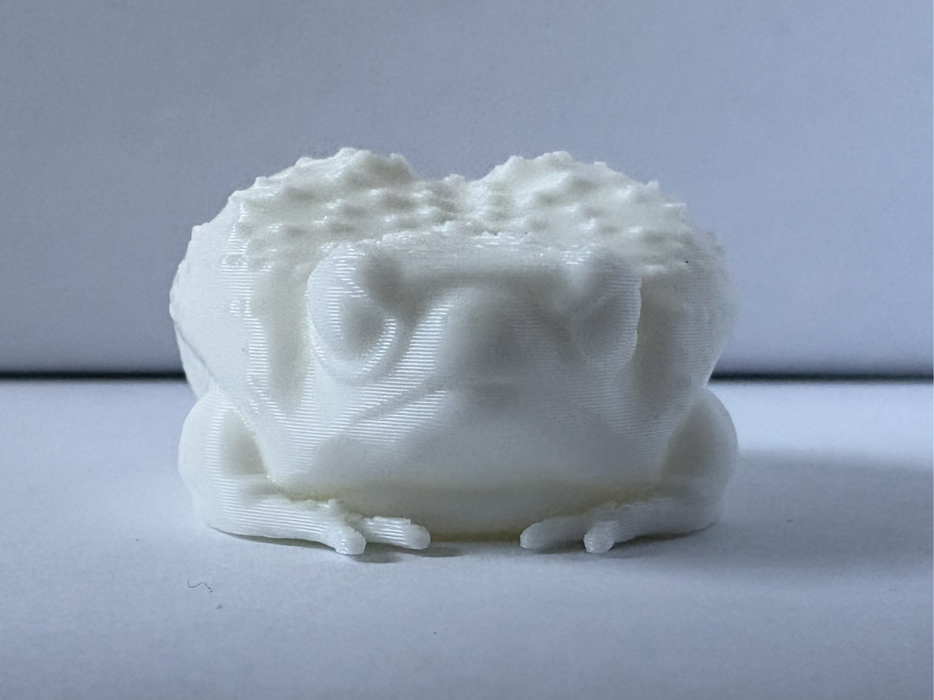 Miniatura 1 do modelo 3D Desert Rain Frog