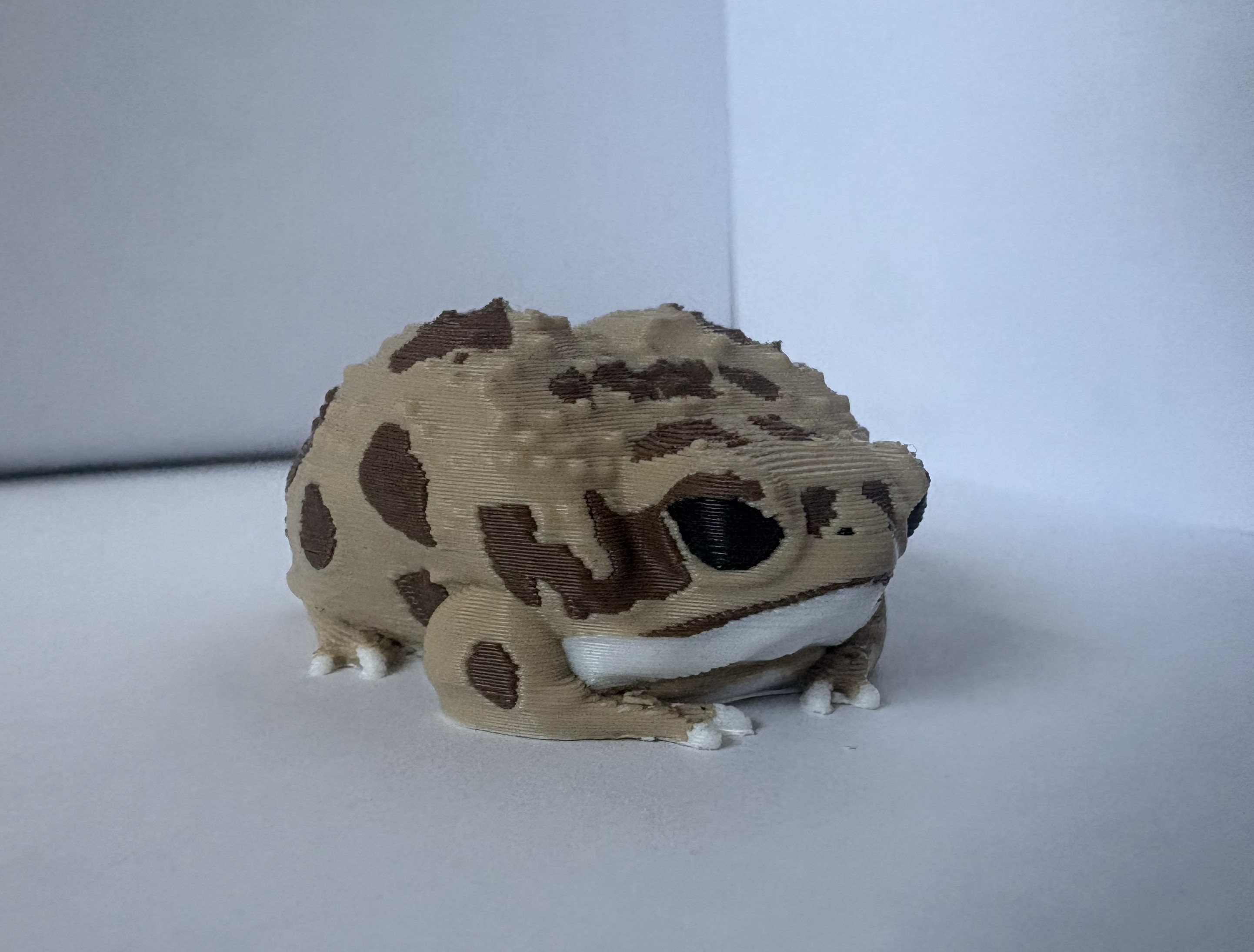 Miniatura 2 do modelo 3D Desert Rain Frog