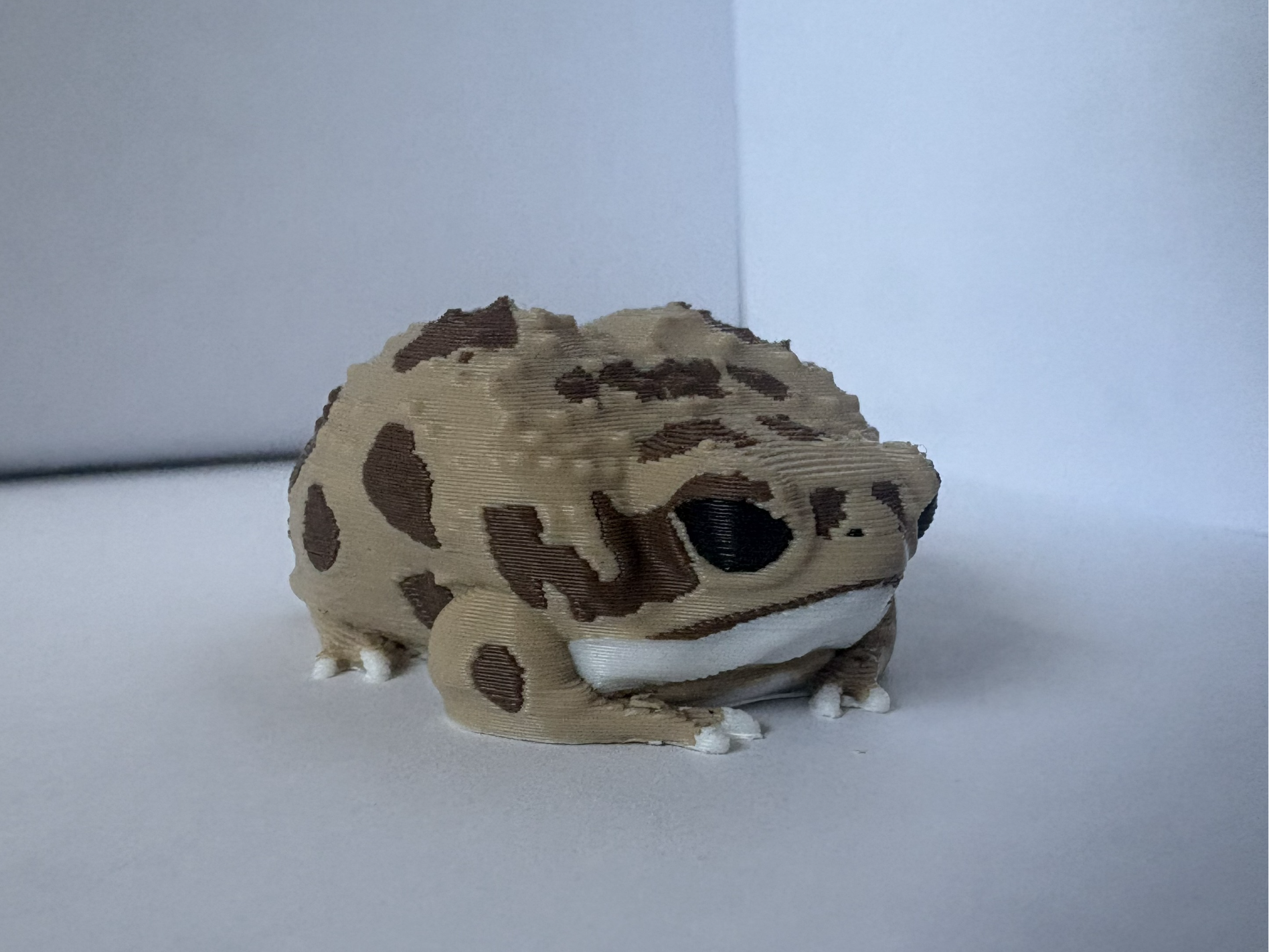 Desert Rain Frog