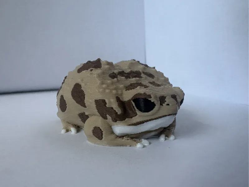 Desert Rain Frog