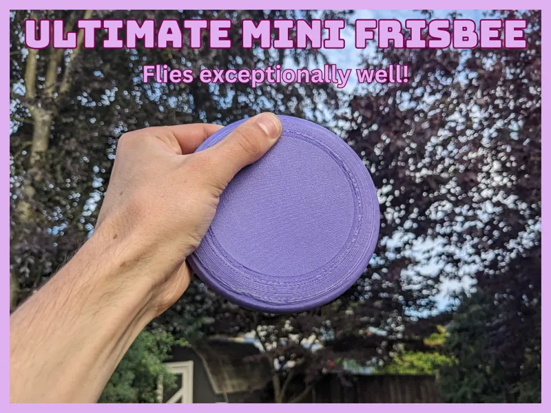 Ultimate Mini Frisbee!