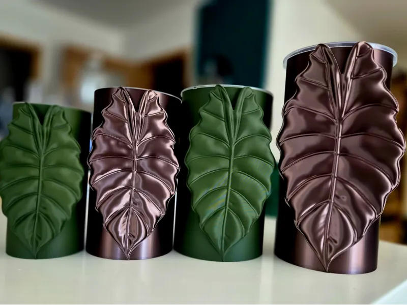 Alocasia Chantririe self watering pot