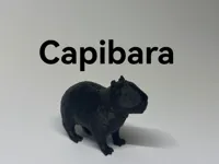 Capybara — photo 2