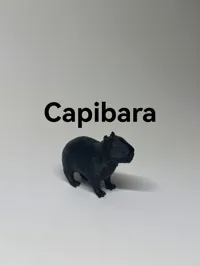 Capybara — photo 3
