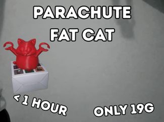 Parachute Fat Cat FREE TO SELL