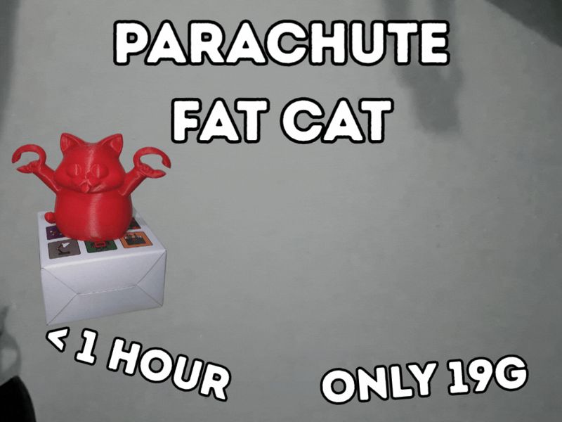Parachute Fat Cat FREE TO SELL