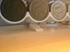 0.2mm layer, 3 walls, 15% infill