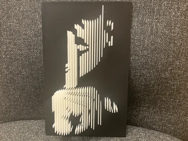 https://makerworld.bblmw.com/makerworld/model/US9977bd7dd2c7d6/design/2025-02-23_f377a4d8fbb4.jpeg