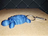 La Tortue