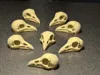 Raven Skull - Quantity 15