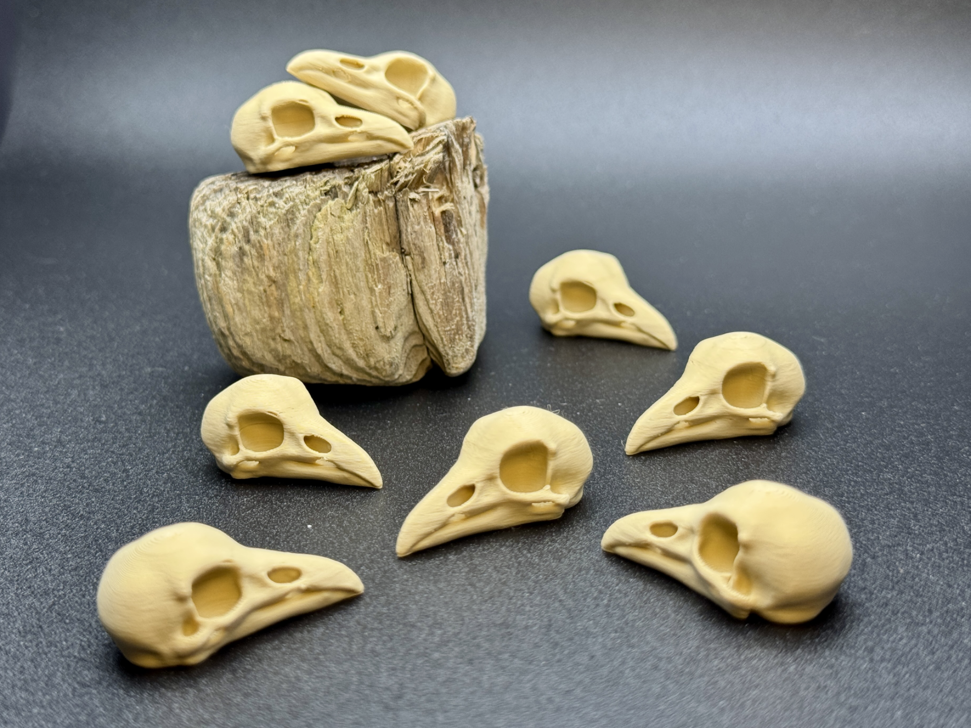 Realistic Miniature Raven Skull 