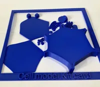 Maquette pédagogique de cellule végétale — photo 3