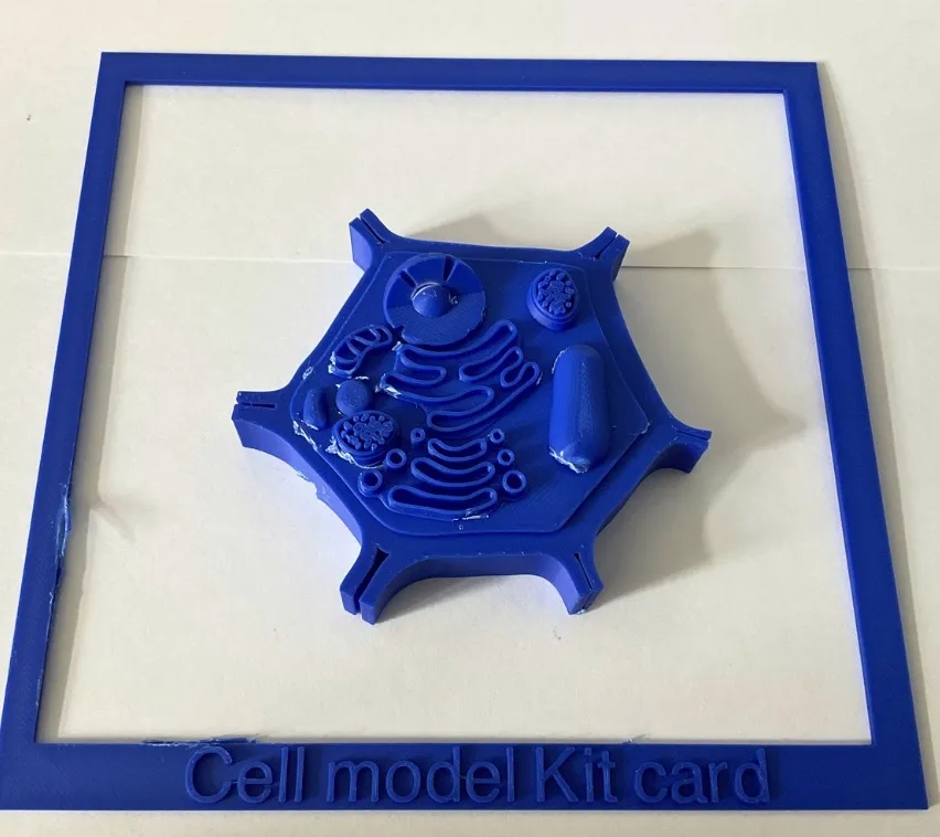 Plant Cell model Kit Card - Free 3D Print Model - MakerWorld
