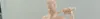 ZOROHEADSCULPT113