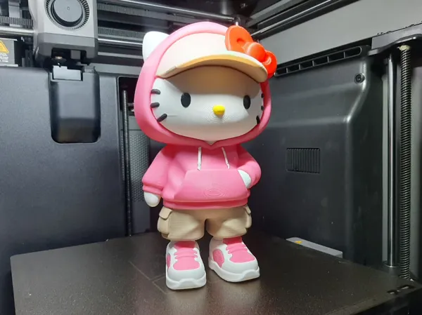 https://makerworld.bblmw.com/makerworld/model/US998f327356c56d/design/dc470c836c3f7ed8.jpeg