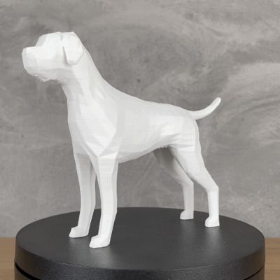 Boxer Low Poly
