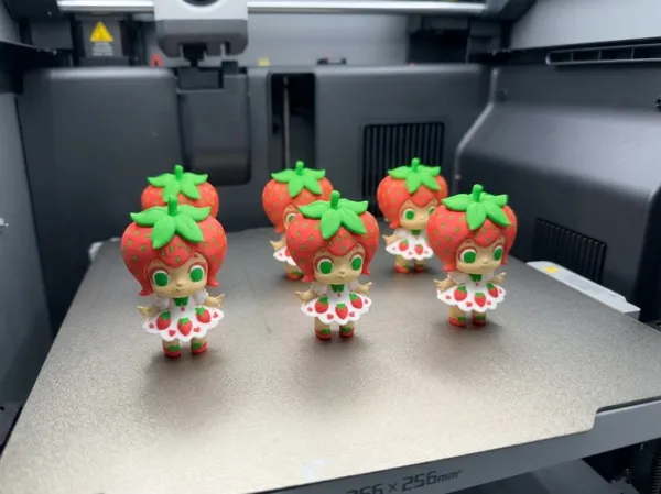 https://makerworld.bblmw.com/makerworld/model/US99928cd99231cb/design/9591b53d46d661a2.jpg