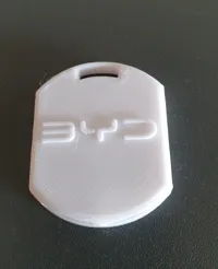 BYD whistle keychain