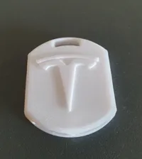 Tesla whistle keychain