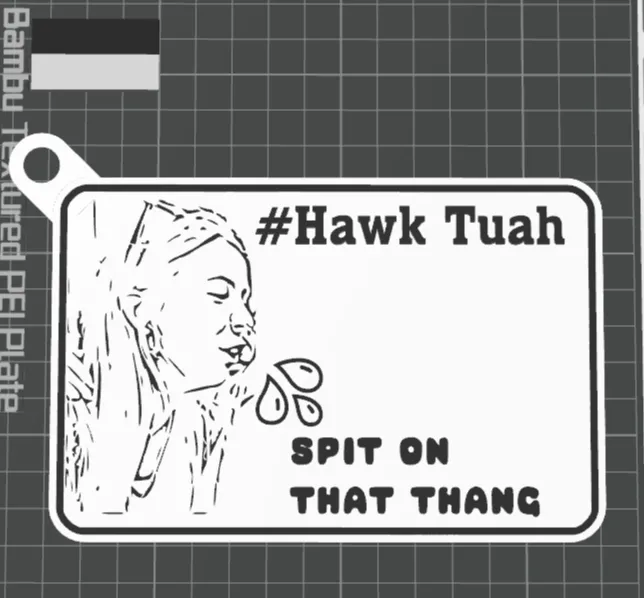 Hawk Tuah and spit on that thing keychain