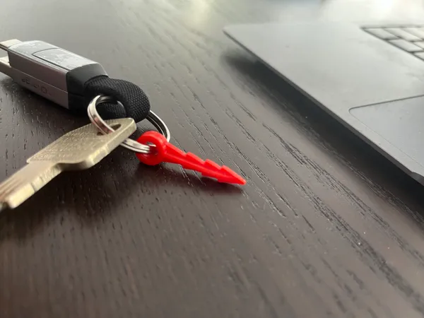 https://makerworld.bblmw.com/makerworld/model/US99968878cfdab0/design/2023-12-27_6aaa0c6f1d5f2.jpg