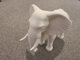 Elephant model