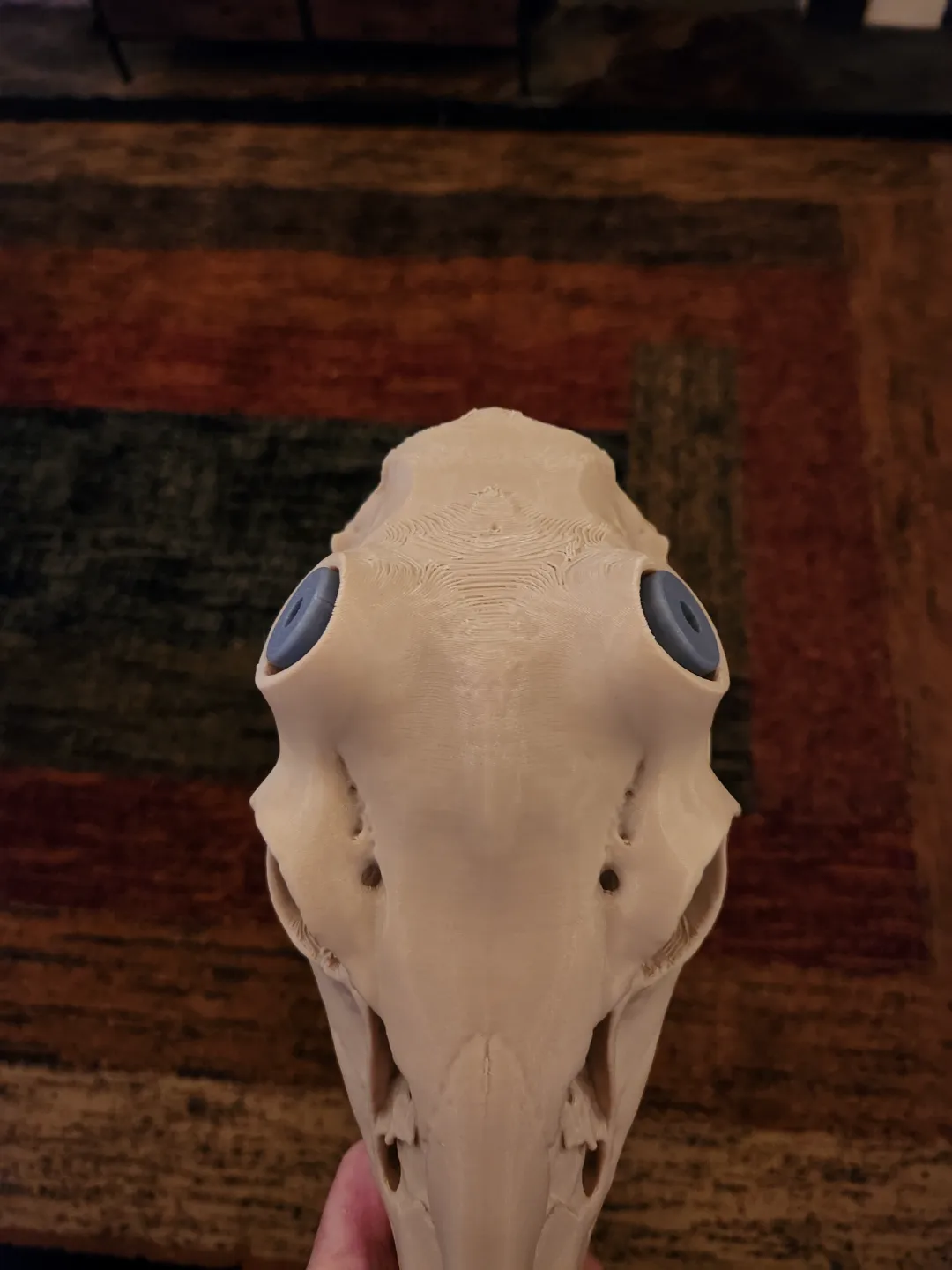 Deer Skull Antler Mount - New Snap/Lock antlers view 2