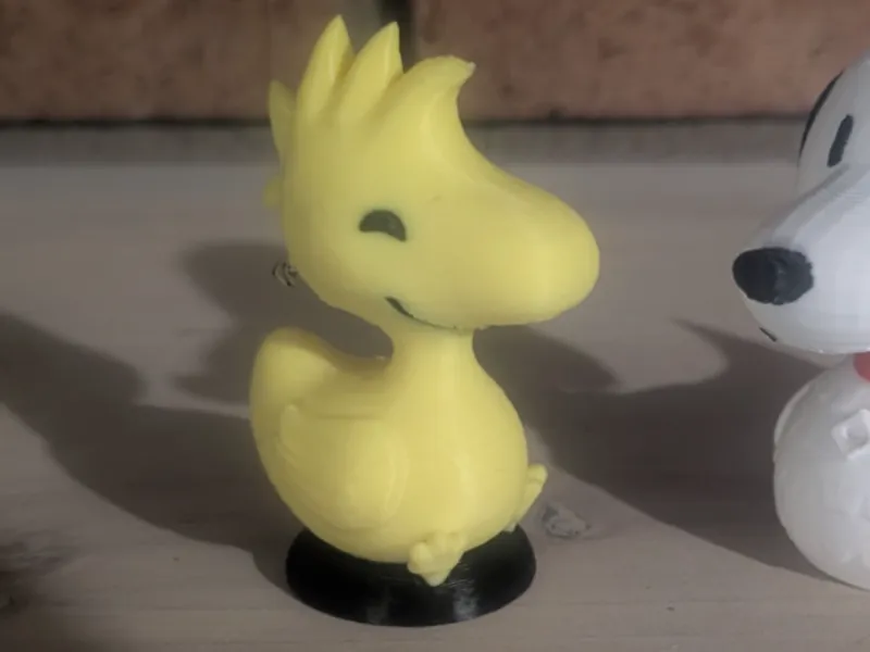 Woodstock duck