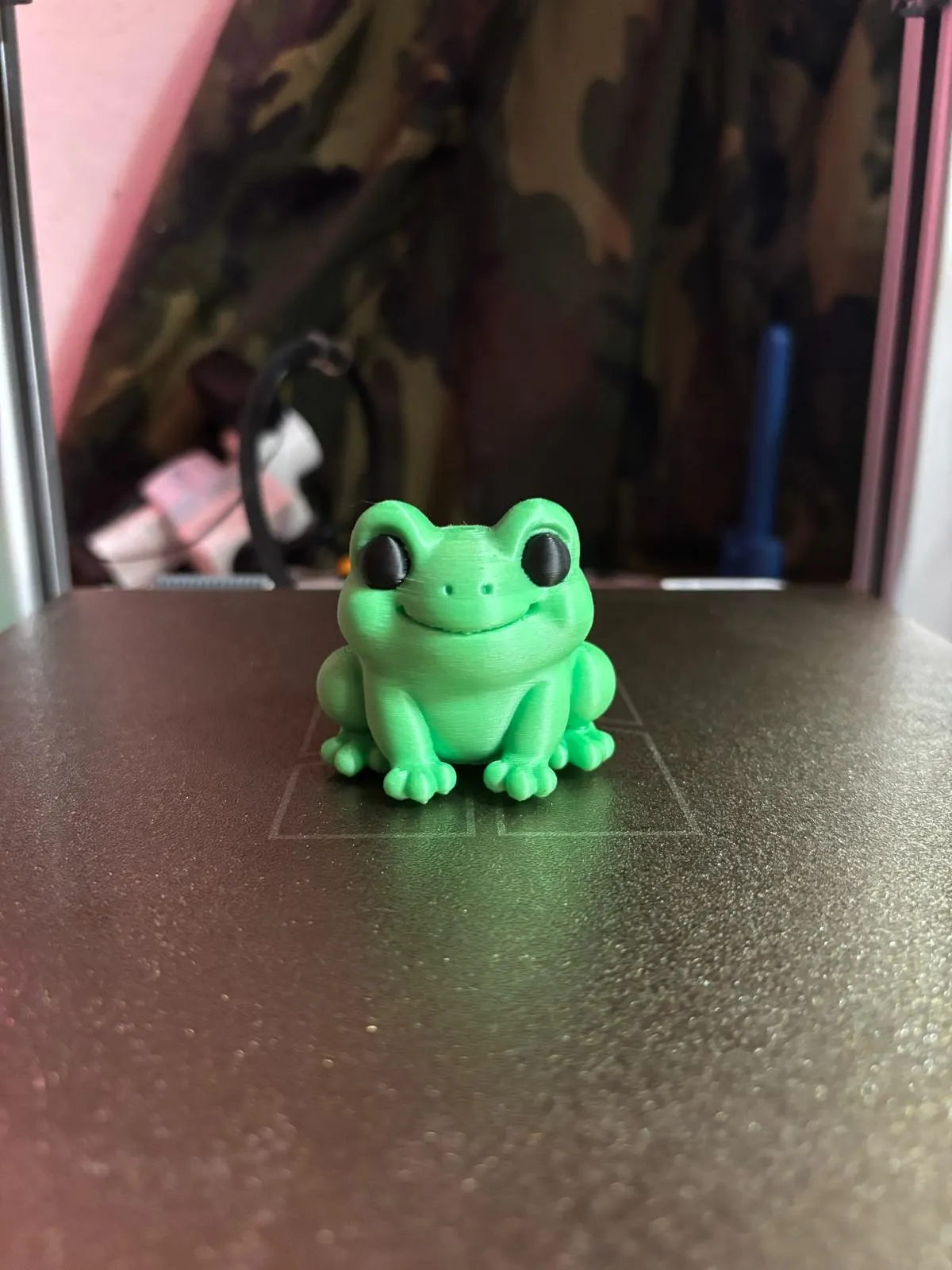 Mini Frog Cute view 2