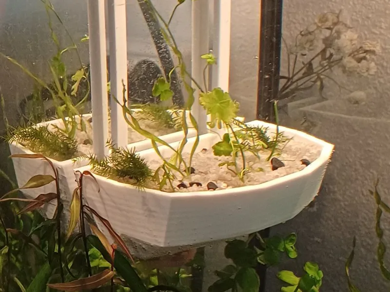 aquarium island
