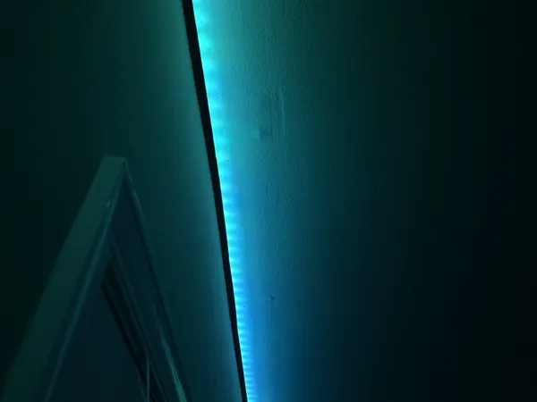 https://makerworld.bblmw.com/makerworld/model/US99a0c8df25eaf1/design/2024-11-08_93a84674a4ebe.jpg