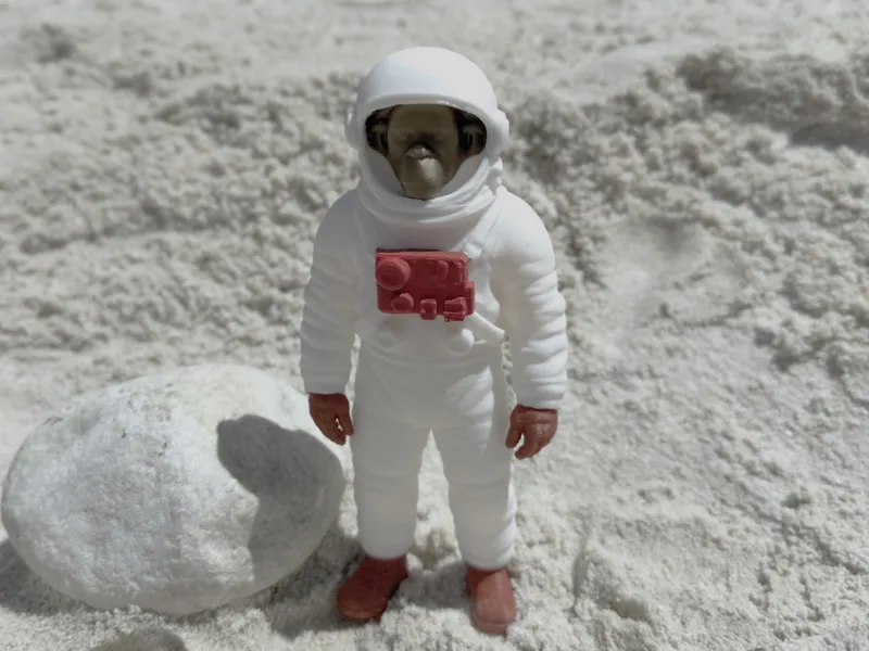 The Monkeynaute on the moon