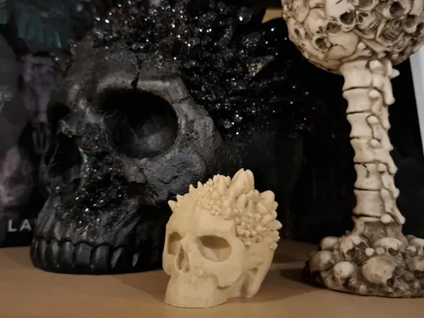 https://makerworld.bblmw.com/makerworld/model/US99b4ac5e68e834/design/2025-09-01_ebaddfcae8a93.jpg