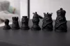 Beginner Chess Set for Children-black