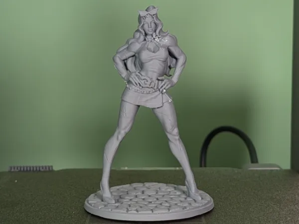 https://makerworld.bblmw.com/makerworld/model/US99b571ba611be5/design/4006287e6f3b060c.jpg