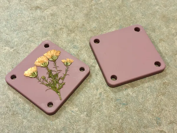 https://makerworld.bblmw.com/makerworld/model/US99bf170846cd31/design/2024-11-15_69bb4439b4de5.jpg