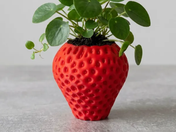 https://makerworld.bblmw.com/makerworld/model/US99c609d6361fb7/design/9d8786e9d34a25f1.jpeg