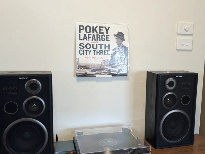 Vinyl Record Wall Display