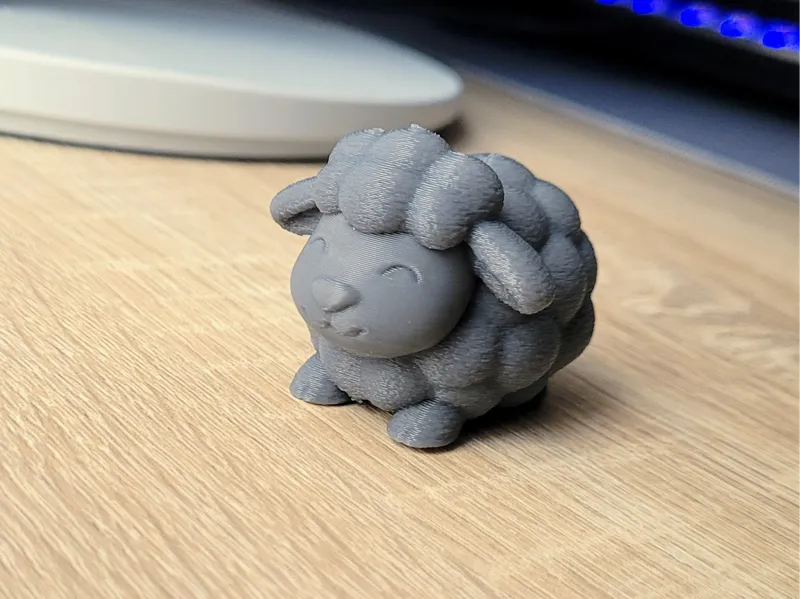 Cute little sheep