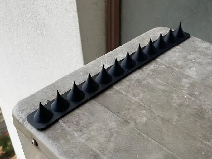 Bird Spikes