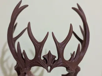 REGNUM SILVAE - The Wild Crown
