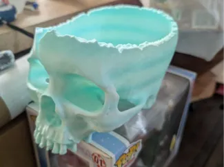 Skull Yarn Bowl