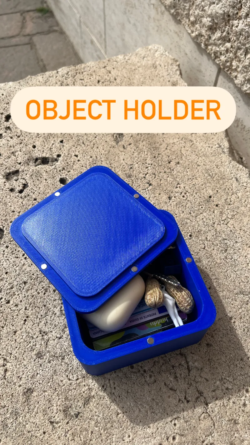 Magnetic Organizer - Portaoggetti magnetico 