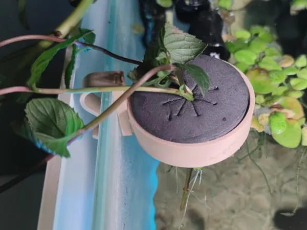 https://makerworld.bblmw.com/makerworld/model/US99d35eee95f59e/design/2025-10-26_a1a492f93cdda8.jpg