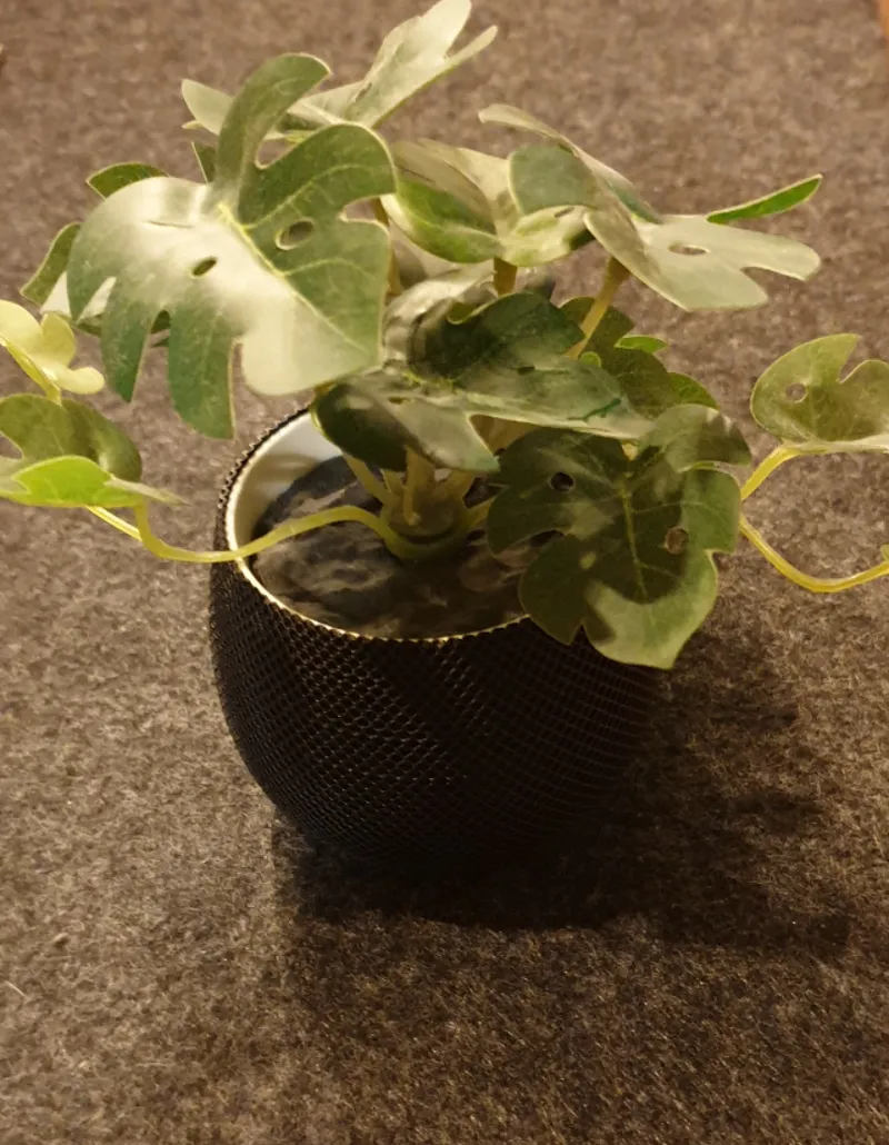Kleine Vase (Double Strip)