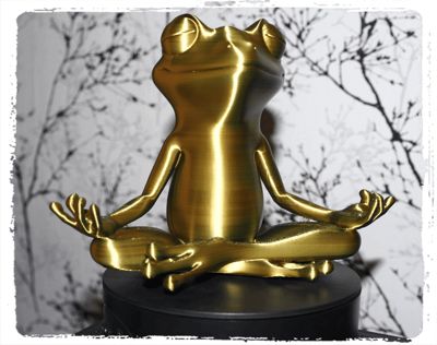 Yoga Meditation Frog