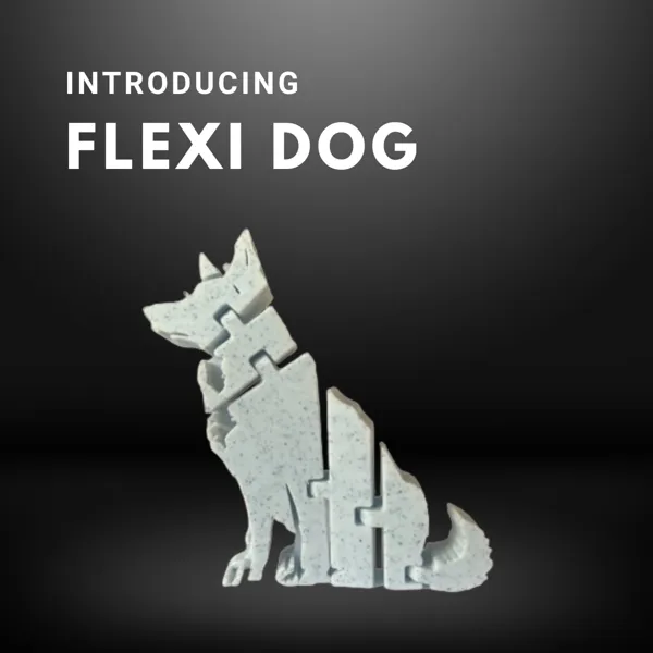 https://makerworld.bblmw.com/makerworld/model/US99dc856b10568d/design/2024-03-14_e52ec29b37ba4.png